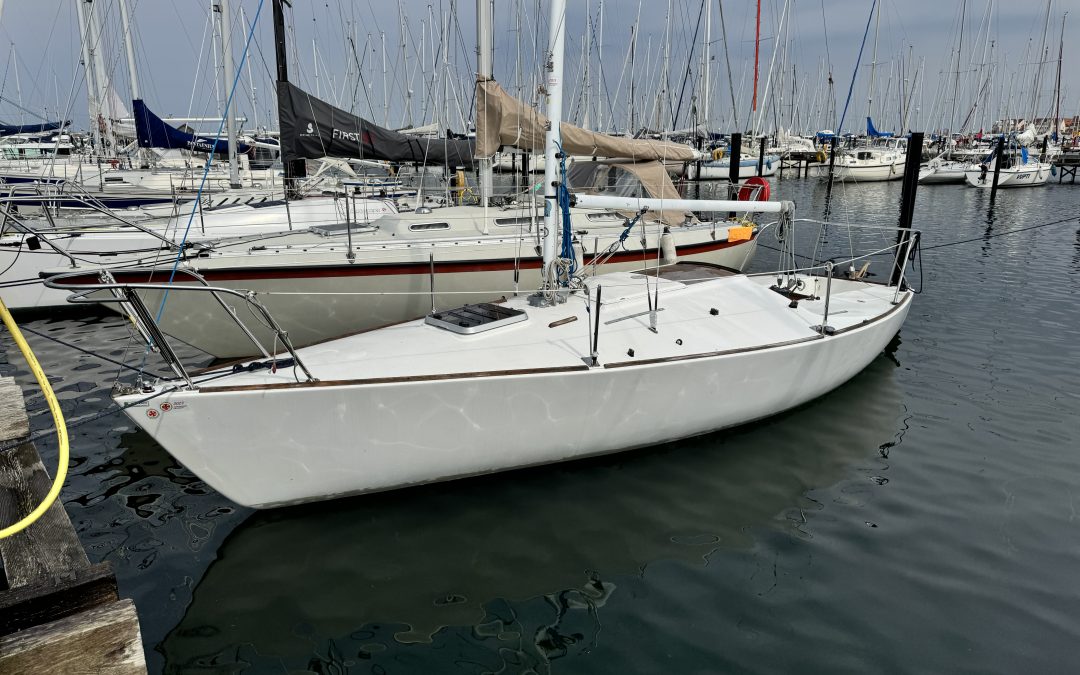 J/24